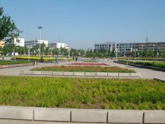 濟寧仙營綠地工程案例